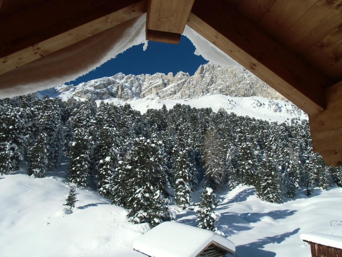 Rifugio Stella Alpina Spiz Piaz Per Escursionisti Hotel Pozza di Fassa Eksteriør billede